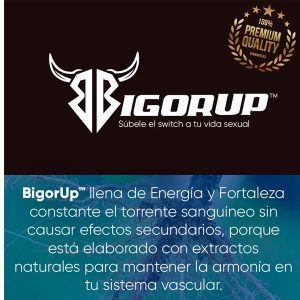 bigor-up-info