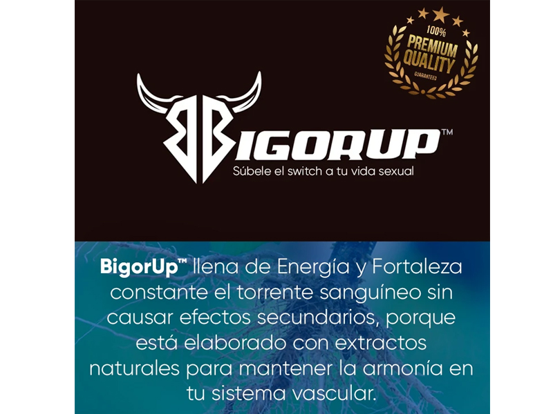 bigor-up-info
